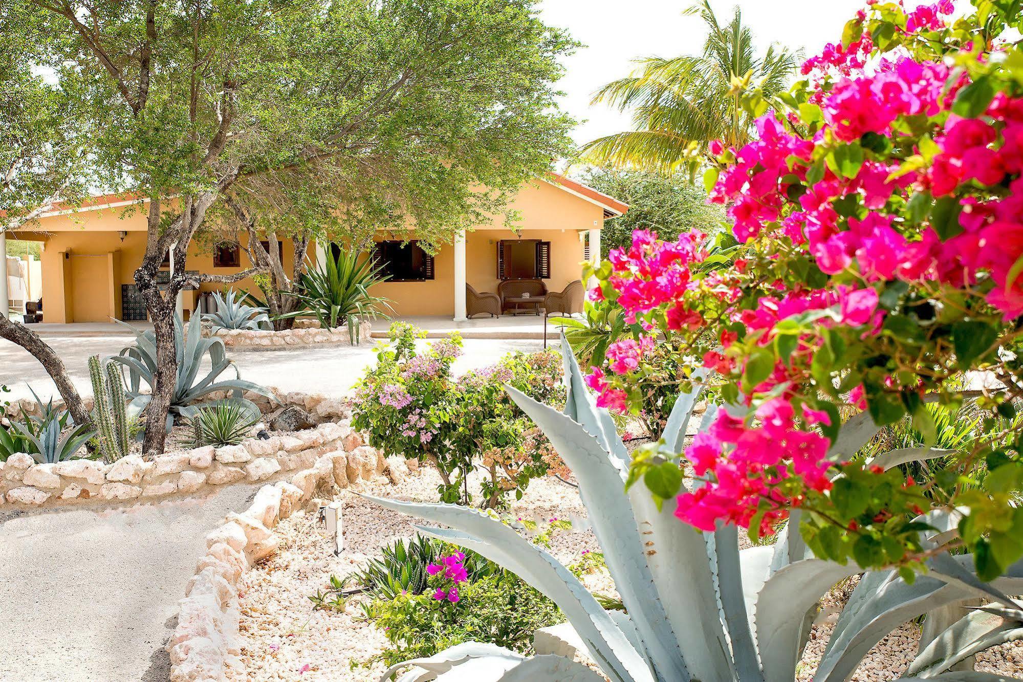 Lagun Blou Dive And Beach Resort Eksteriør billede